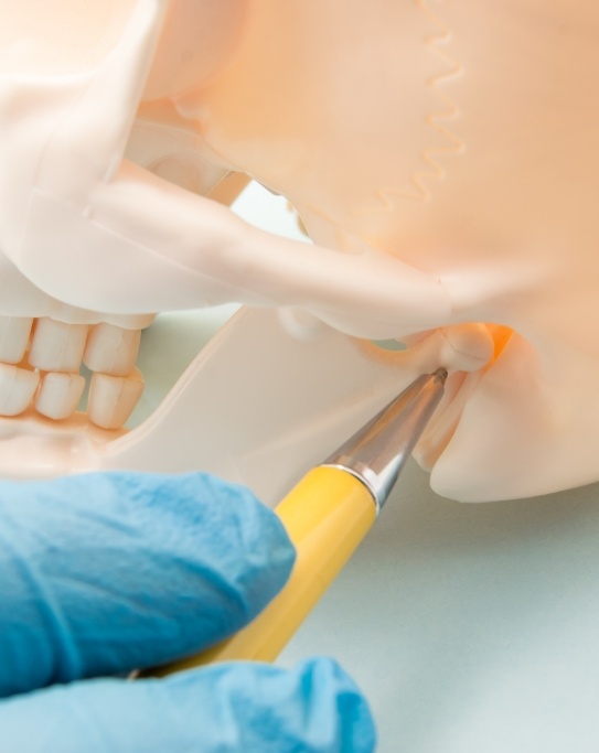 Dentist pointing to jaw joint in model of skull